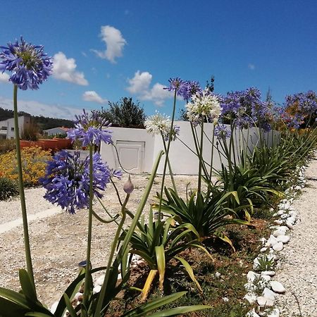 Bb Silvercoast Casa Das Flores Santa Catarina  Екстериор снимка