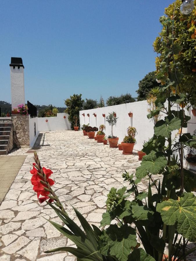 Bb Silvercoast Casa Das Flores Santa Catarina  Екстериор снимка