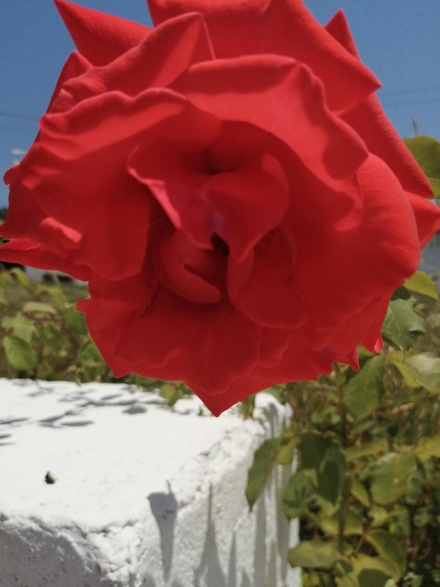 Bb Silvercoast Casa Das Flores Santa Catarina  Екстериор снимка